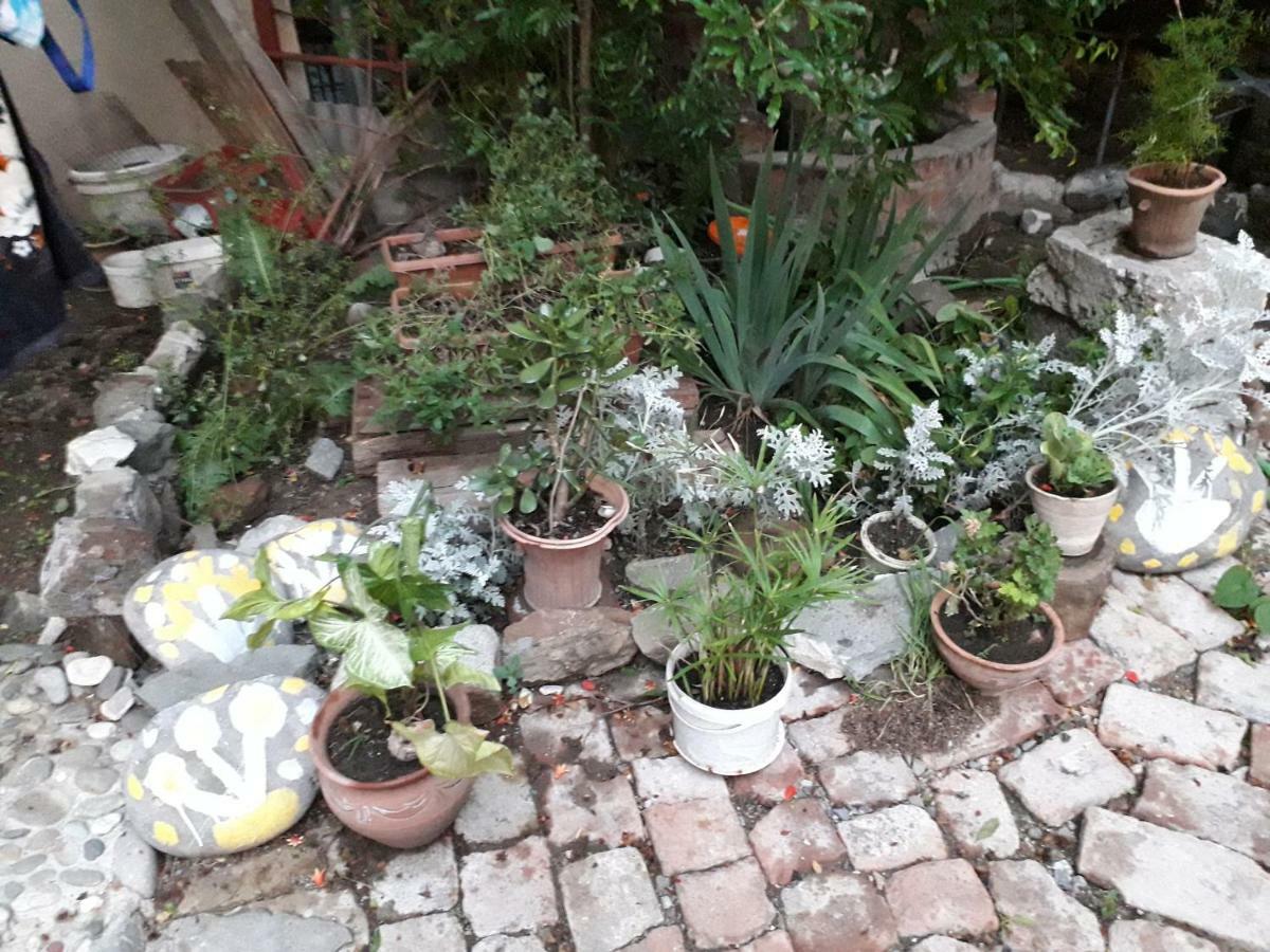 דירות טביליסי Cozy House I מראה חיצוני תמונה
